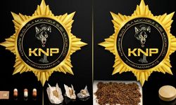 Kahramanmaraş'ta nefes kesen narkotik baskını! Sokak satıcıları paketlendi