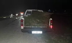 Antalya'da kamyonet kasasından düşen kadın hayatını kaybetti