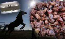 Kavurma olarak sunulan atın akıbeti ve fiyatı belli oldu