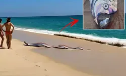 “Kıyamet Balığı” Sahile Vurdu: 9 Metrelik İki Dev Balık Tatilcileri Şaşırttı