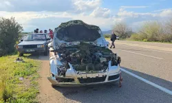 Koyun Sürüsüne Giren Otomobil Ortalığı Savaş Alanına Çevirdi: 7 Hayvan Telef