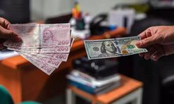 Küresel kriz TL’yi vurdu: dolar/TL’de tarihi rekor