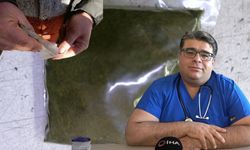 Maraş otu kullananlar dikkat: günde 8 paket sigaraya eşdeğer etki yapabiliyor