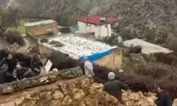 Mardin’de ahır çöktü; 50 küçükbaş hayvan öldü