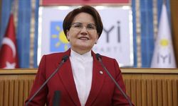 Meral Akşener Siyaseti Bıraktı Mı? En Son Nerede Görüntülendi?