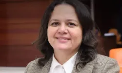 Nilgün Ök kimdir, hangi partili?