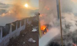 Osmaniye’de çiftlik yangını: 8 koyun ve 120 kümes hayvanı telef oldu