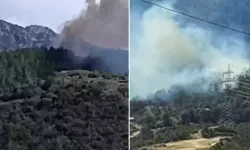 Osmaniye’de korkutan yangın! Rüzgar alevleri büyüttü