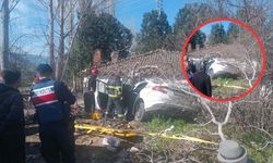 Otomobil ağaçlara çarptı, karı koca hayatını kaybetti