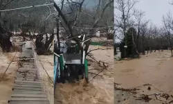 Sağanak nedeniyle dereler taştı, 5 büyükbaş öldü