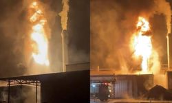 Sakarya'da yağ kazanı patlayan entegre tesisi alev alev yandı