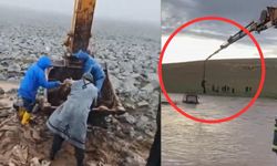 Şanlıurfa'da derede mahsur kalan sürücü vinçle kurtarıldı