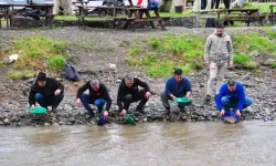 Sosyal medyada toplanan altın avcıları, yağışa rağmen derede altın aradı