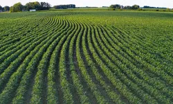 Tarım Arazilerine Hibe Desteği: Devlet Yüzde 75’e Kadar Destek Verecek