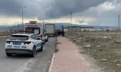 TIR Şoförü Aracının Yanında Ölü Bulundu