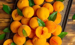 TÜİK Verileri Açıklandı: Kayısı ve Zerdali Türkiye’nin Tarım Şampiyonu