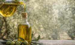 Türk Zeytinyağı Sektörü AB Kotasıyla İhracatta Çıkış Arıyor