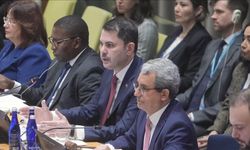 Türkiye dünyaya örnek olacak