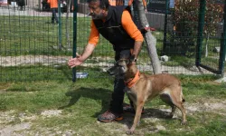 Türkiye’de arama kurtarma köpekleri için kritik uyarı sayı artırılmalı