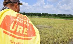 Türkiye’de gübre krizi iddialarına yalanlama! Resmi açıklama geldi