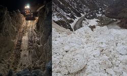 Van Çatak’ta çığ düştü 1 mahalle ve 8 mezranın yolu kapandı