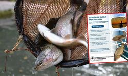 Kahramanmaraş’ta o tarihierde sazan ve yayın balığı avcılığı yasaklandı