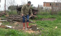 110 koyun gitti, 3 yıldır para yok: Dolandırıcılar hayatını kararttı