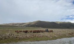 120 bin lira maaş veriyorlar ama çalışan bulamıyorlar