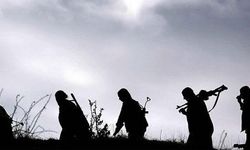 10 PKK’lı ter*rist daha teslim oldu