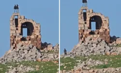 2 Bin Yıllık Tarihi Yapının Üzerinde Halay Çektiler