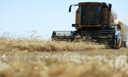 2026 Mazot Gübre Desteği Yattı Mı, Ne Zaman Yatacak?