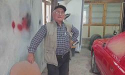 Oto tamirciye beklenmedik ziyaret: Danalar bastı, "Nazikçe geldiler, gittiler"