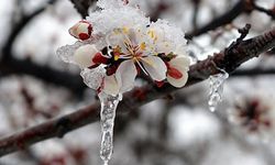 42 İl İçin Sarı Kodlu Uyarı! Kar, Yağmur ve Zirai Don Tehlikesi Başladı