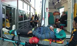 Adana'da tarım işçilerini taşıyan minibüs devrildi; 17 yaralı