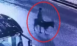 Kuyumcudan altın çalıp eşekle kaçmıştı! Sanığın verdiği zarar hesaplanacak