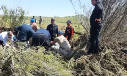 Sel sonrası kaybolan Mehmet Oğlakçı'nın cansız bedeni bulundu