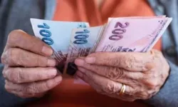 8,5 milyar TL'lik yaşlı ve engelli aylıkları hesaplarda