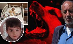 9 yaşındaki çocuğun hayatını kaybettiği köpek dehş*tinin görüntüleri ortaya çıktı