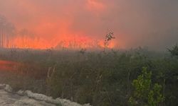 ABD Georgia'da yangın! 120'den fazla ev küle döndü