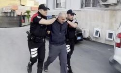 Adana'da köpeğe sopalı işkence! Saldırgan yakalandı!