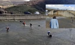Afyonkarahisar Sandıklı Balık Olayı Nedir? Örenler Barajı'nda Neler Yaşandı?