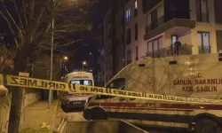 Annesi ve ağabeyini silahla öldürüp, diğer ağabeyini yaralayan şüpheli yakalandı