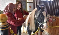 Atlarla şifa: Yaşlılar için atla terapi dönemi başladı