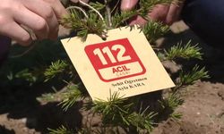 Ayla öğretmen ve öğrencilerinin adı Ankara'da yaşayacak!