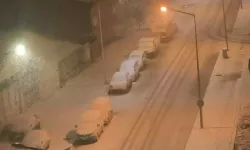 Bahar Ortasında Kar Yağdı