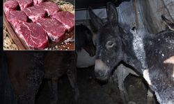 Bakanlık Tek Tek Açıkladı: Vatandaşa At ve Eşek Eti Yediren İşletmeler Açıklandı