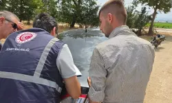 Bakanlıktan, 'biberlerin hayvanlara verildiği' görüntülere ilişkin açıklama