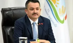 Bekir Pakdemirli Kimdir? Eski Bakanın Kariyeri ve Yeni Görev Süreci