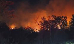 Beykoz'da orman yangını! Alevler rüzgarla yeniden yükseldi