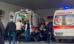 Bıçaklı kavgada 2 kardeş yaralandı